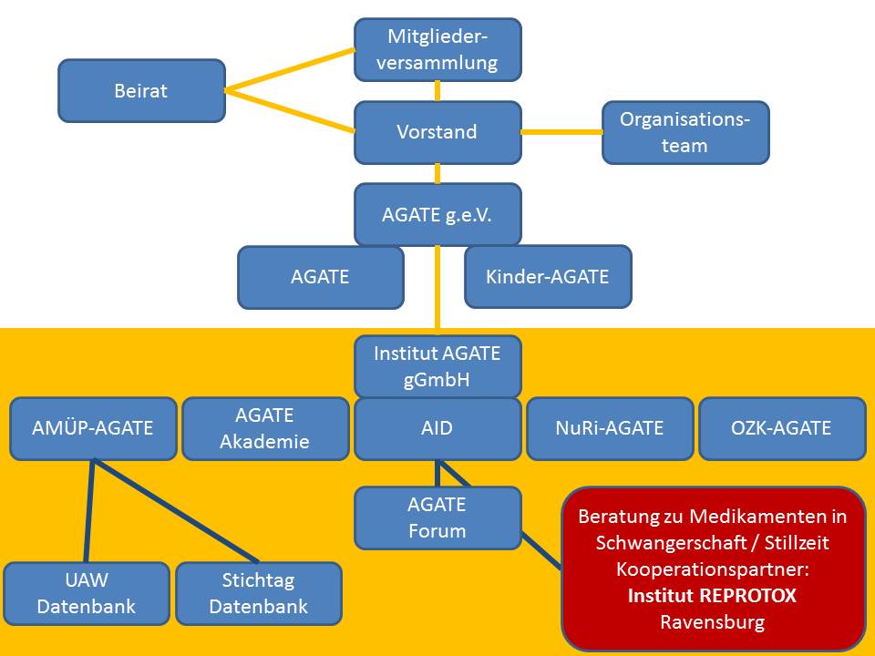 Organigramm AGATE